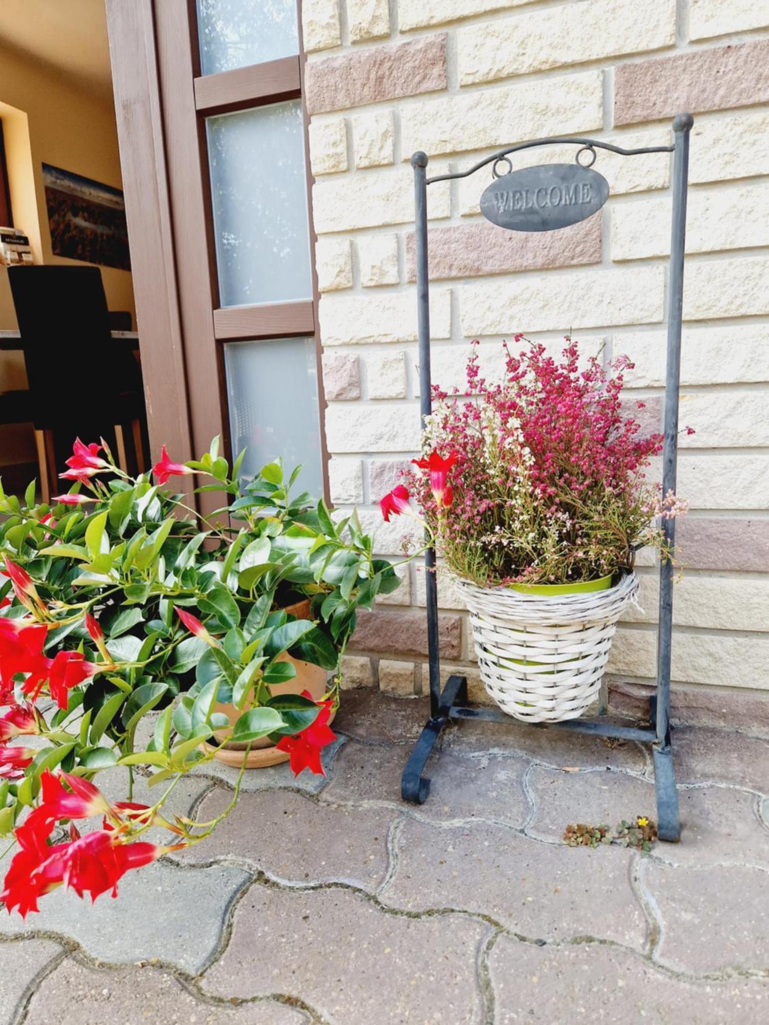 Balaton Panzio Fuered Bed & Breakfast Balatonfured Ngoại thất bức ảnh