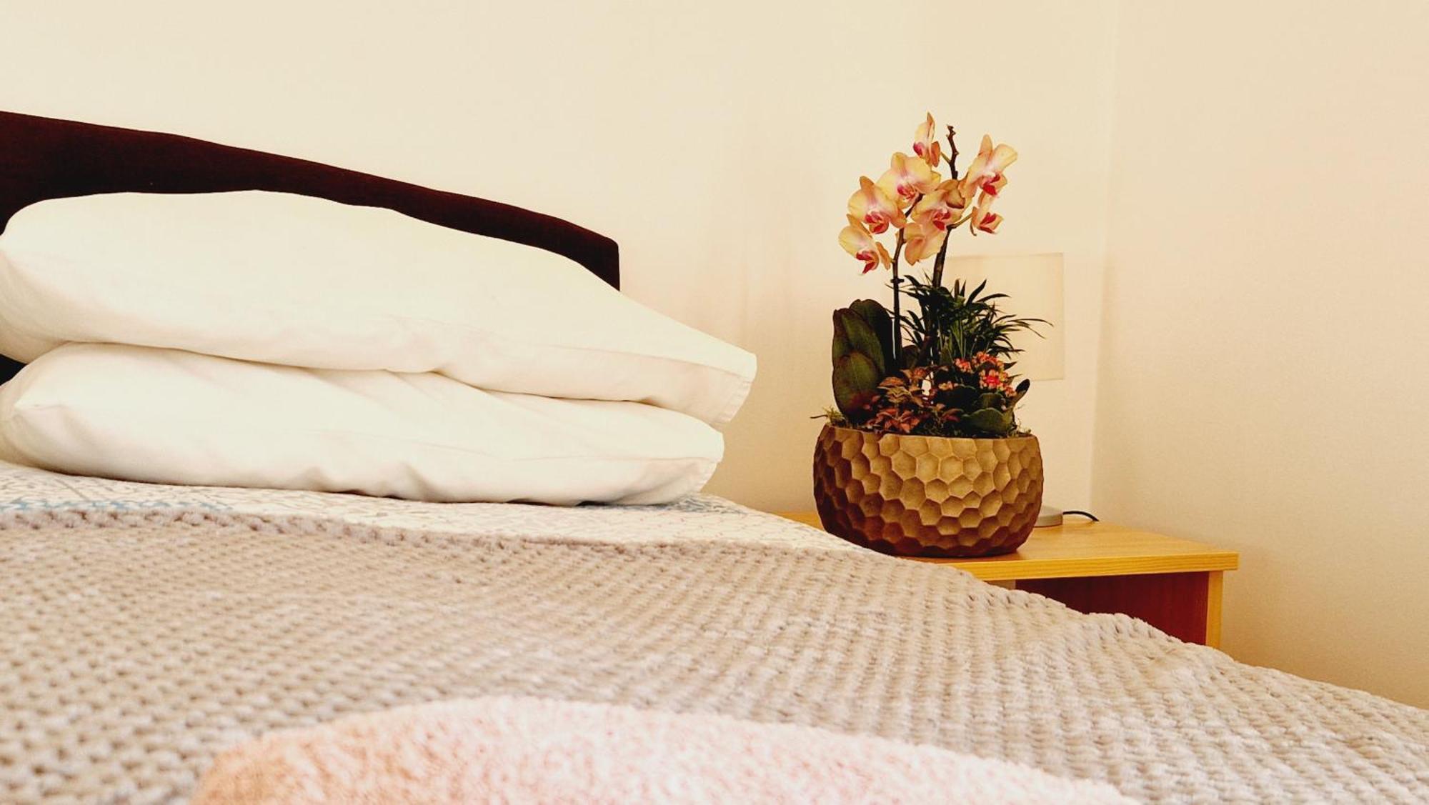 Balaton Panzio Fuered Bed & Breakfast Balatonfured Ngoại thất bức ảnh